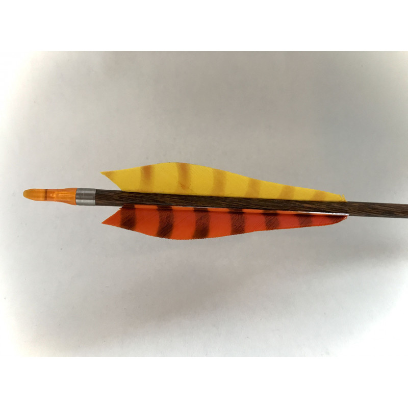 Carbon Arrow Savanna