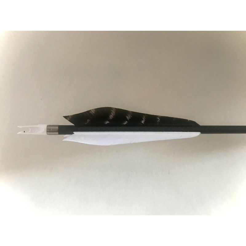 Civetta delle nevi freccia di carbonio