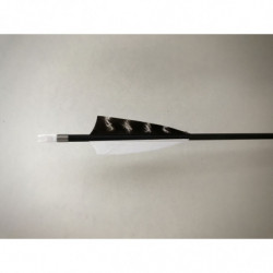 Carbonpfeil Schneeeule X-Line MACH 2