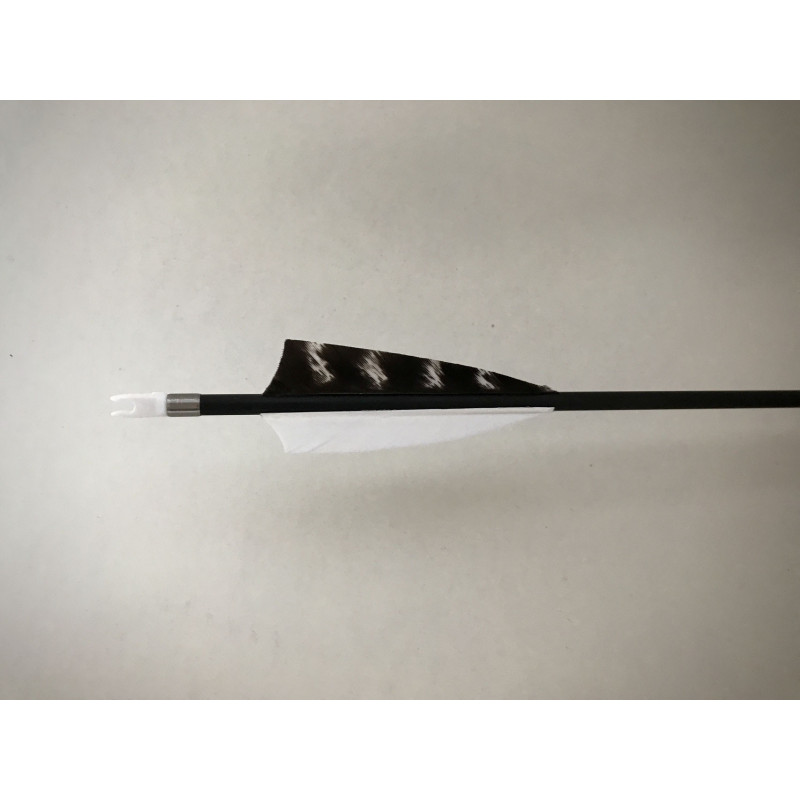 Carbonpfeil Schneeeule X-Line MACH 2 Carbonpfeil Schneeeule X-Line MACH 2