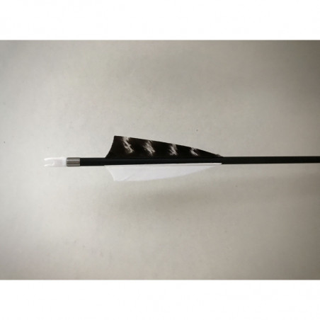 Carbonpfeil Schneeeule X-Line MACH 2
