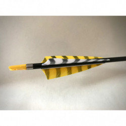 Carbonpfeil Tigerente Shield 4"