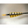 Carbonpfeil Tigerente Shield 4"