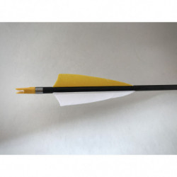 Carbonpfeil Zitronenfalter