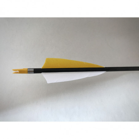 Carbonpfeil Zitronenfalter