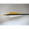Carbonpfeil Zitronenfalter
