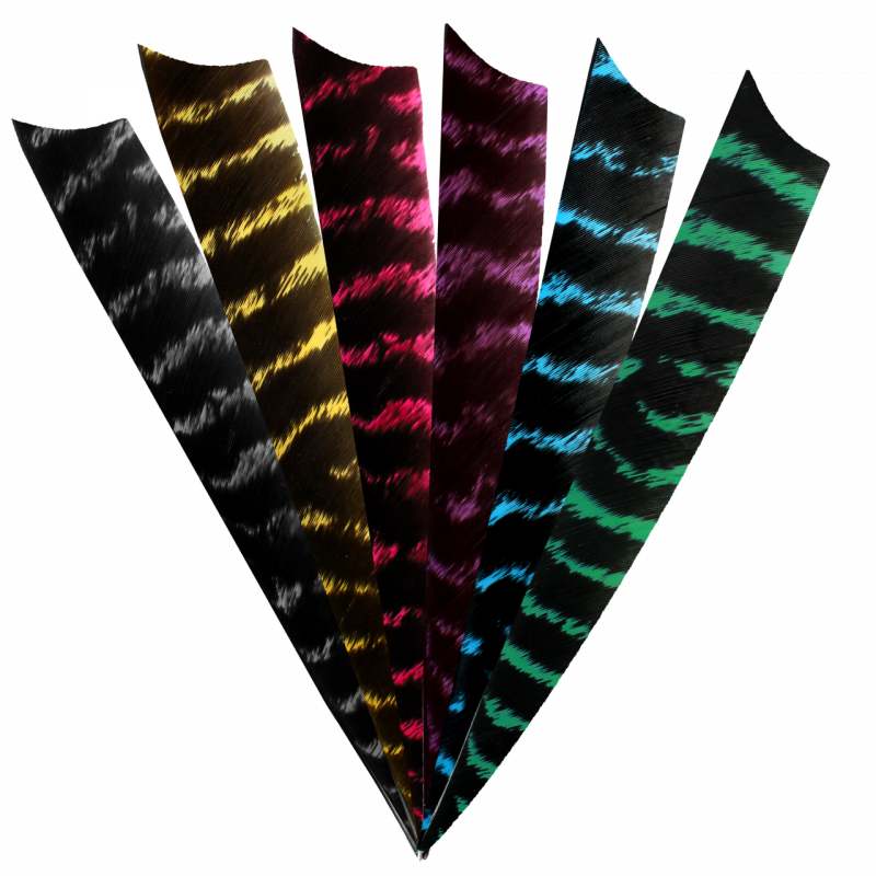 Spring RW Shield 4 pollici a strisce naturali