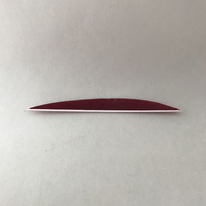 Penna RW Speed 4,5 pollici