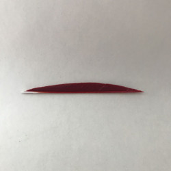 Penna RW Forma "Anton" 4 pollici