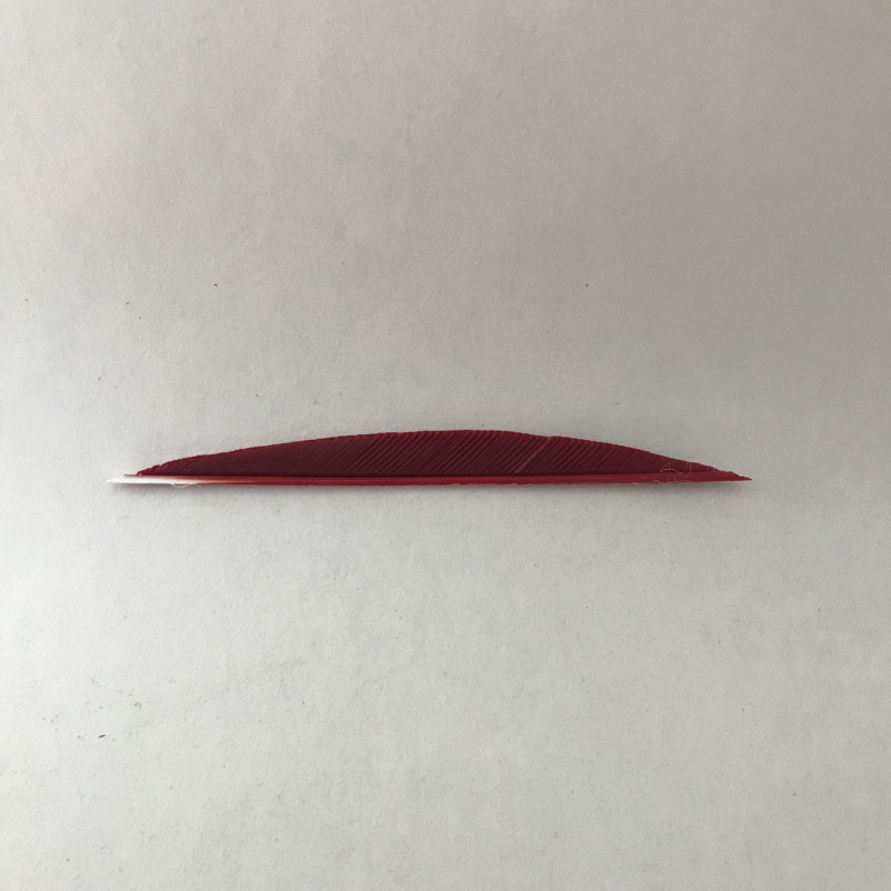 Penna RW Forma "Anton" 4 pollici