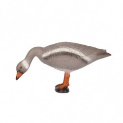 Franzbogen Oca selvatica