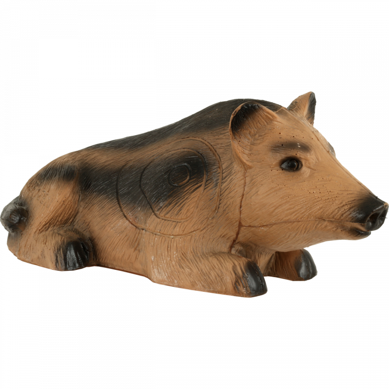 Franzbogen Cinghiale sdraiato