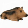 Franzbogen Cinghiale sdraiato