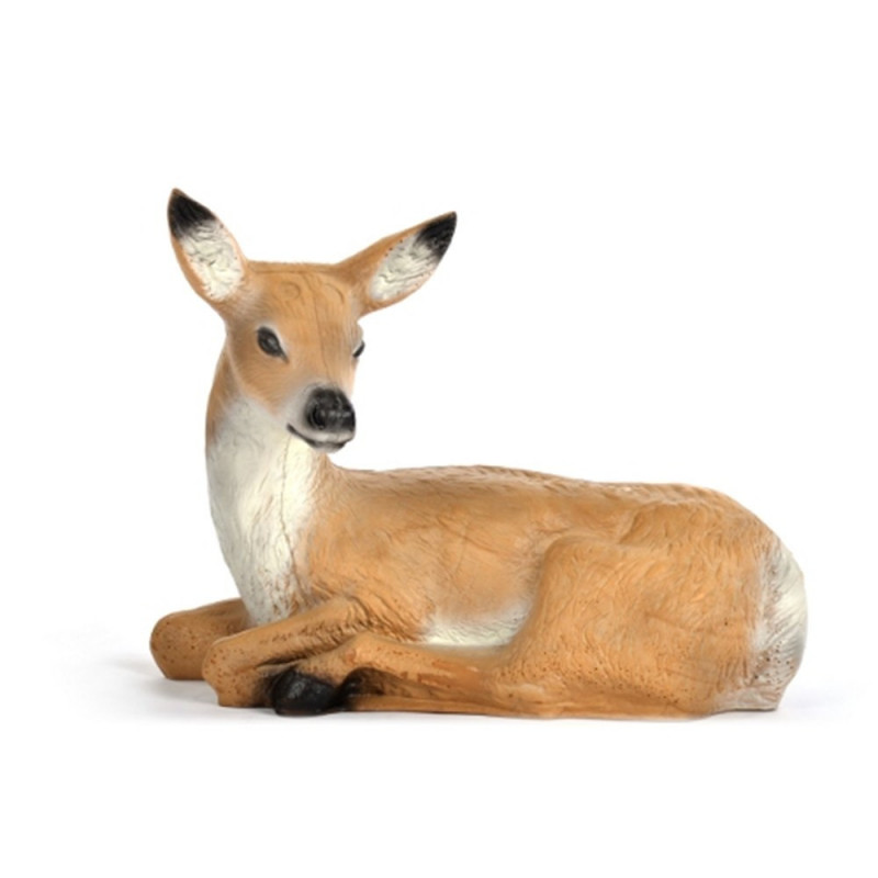 Franzbogen Capriolo sdraiato