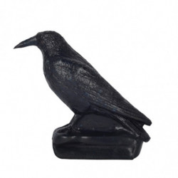 Franzbogen Carrion Crow