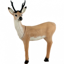 Franzbogen capriolo in piedi