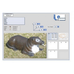 Italespanso Otter