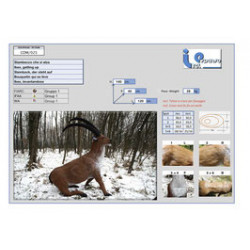 Italespanso Steinbock aufstehend