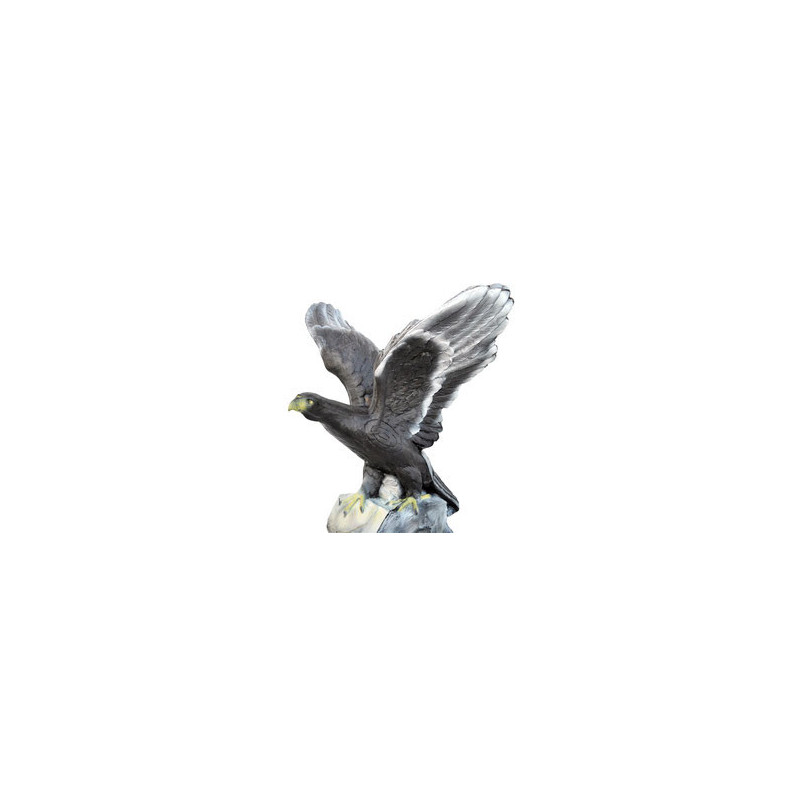 Leitold 3D Target Aquila reale