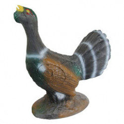 Gallo cedrone corteggiatore di lunga vita