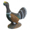 Gallo cedrone corteggiatore di lunga vita