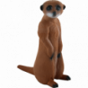Longlife Erdmännchen