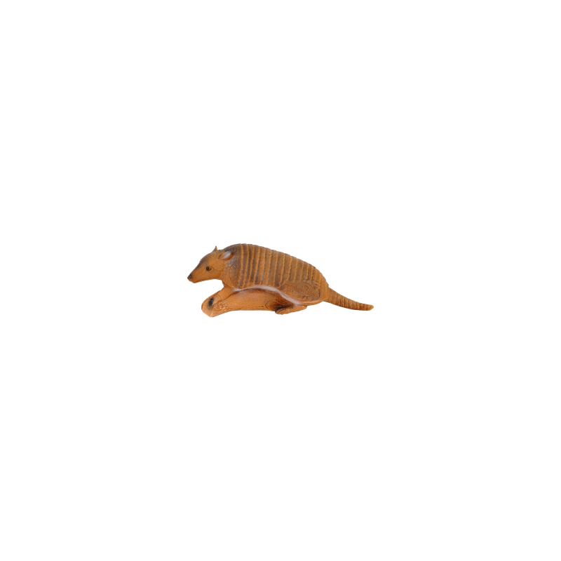 Armadillo longevo
