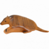 Armadillo longevo