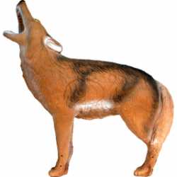 Lunga vita al Coyote ululante