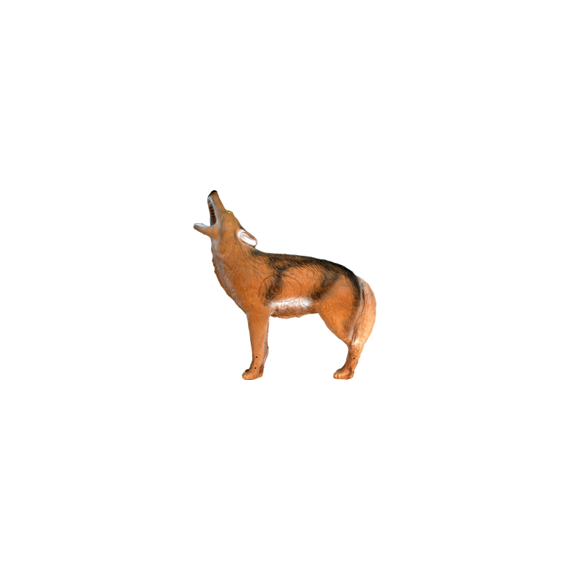 Lunga vita al Coyote ululante