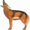 Lunga vita al Coyote ululante
