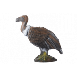 Longlife Mönchsgeier