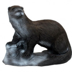 Longevità Lontra