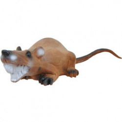 Ratte di lunga durata