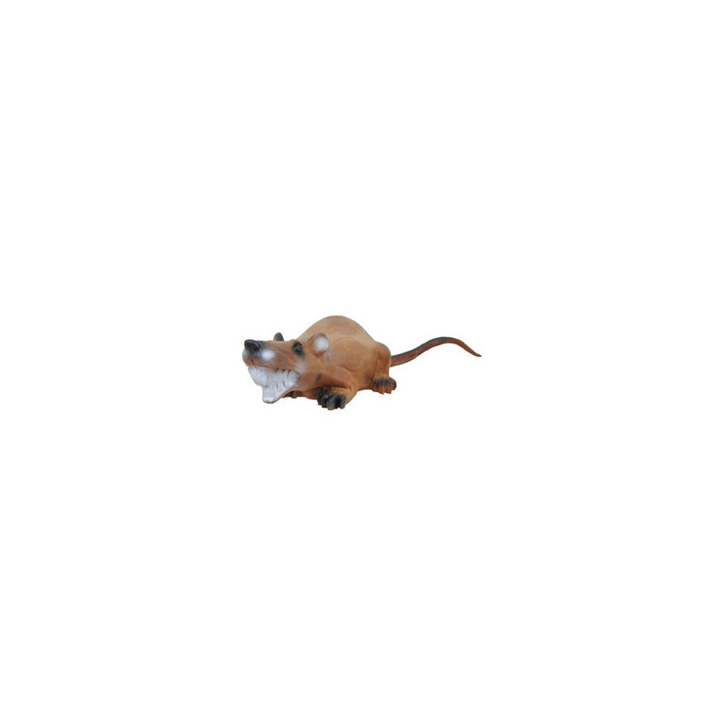 Ratte di lunga durata