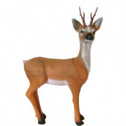 Capriolo dal profumo longevo