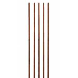 Penthalon Timberstick Carbonschaft