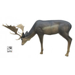SRT Äsender Damhirsch Melanche