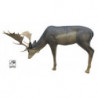 SRT Äsender Damhirsch Melanche