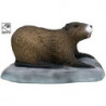 SRT Biberratte