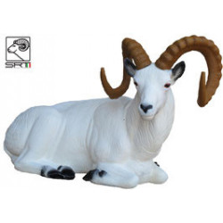 SRT Dall Schaf liegend