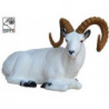 SRT Dall Schaf liegend