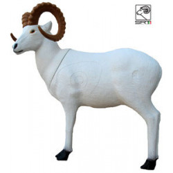 SRT Pecora di Dall in piedi