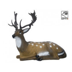 SRT Damhirsch liegend