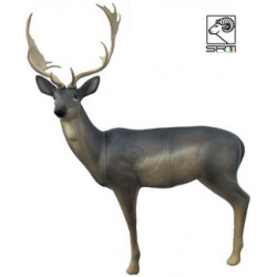SRT Damhirsch Melanche
