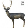SRT Damhirsch Melanche