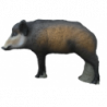 SRT Giovane Cinghiale