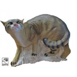 SRT corre a perdifiato