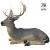 SRT Liegender Damhirsch Melanche