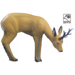 Capriolo SRT VSE al pascolo